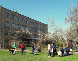 День благоустрою – на вулицях та в скверах Луганщини