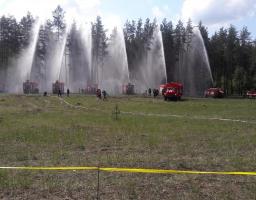 Участь у навчанні