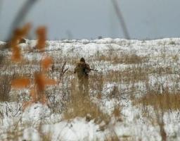 Новини АТО: на Луганщині встановилася тиша
