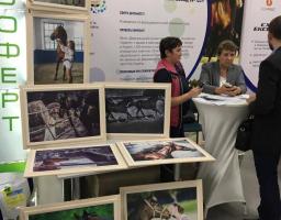 Благодійна акція на підтримку Деркульського кінного заводу відбувається у рамках «Схід-Експо 2017» 