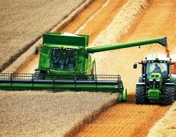 На Луганщині розпочато збиральну кампанію ранніх зернових культур 