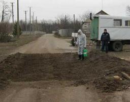 Завдяки заходам з нерозповсюдження вірусу АЧС – карантин у всіх чотирьох районах області знято 