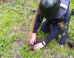 Піротехніками на Луганщині виявлено та знищено 57 вибухонебезпечних предметів 
