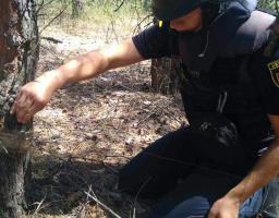 За минулу добу в області вилучено 71 вибухонебезпечний предмет