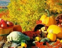 Ринки області продовжують наповнюватися овочами нового врожаю