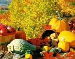 В області на більшість продуктів харчування ціни нижчі за середньоукраїнські 