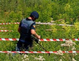 Розмінування на Луганщині: за добу вилучено 91 вибухонебезпечний предмет