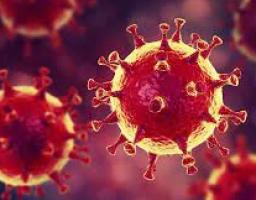 За минулу добу на Луганщині зафіксовано 513 нових випадків COVID-19. Від ускладнень померло ще 14 хворих