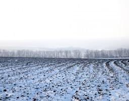 У сільгосппідприємствах області йде підготовка до весняно-польових робіт 2017 року
