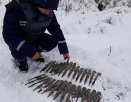 На Луганщині вилучено 43 одиниці вибухонебезпечних предметів 