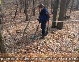 Піротехніками в області виявлено та вилучено 29 артилерійських снарядів
