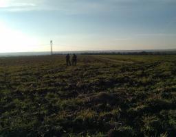 УкрАгроКонсалт проведе в рамках Проєкту 3В дослідження щодо впровадження кліматично оптимізованого сільського господарства у Луганській області