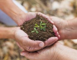 Мінагрополітика удосконалює програму державної підтримки галузей АПК
