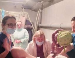 За тиждень на Луганщині дівчаток народилось вдвічі більше, ніж хлопчиків, «Це до нашої Перемоги та миру!» – жартують лікарі