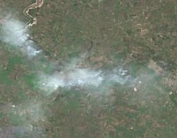 Понад 38,3 мільярда гривень – збитки за знищення росією понад 17 тисяч гектарів лісу на Луганщині