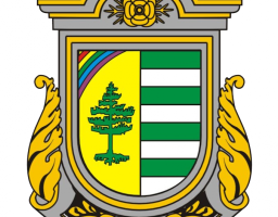 У червні 76 жителів Рубіжанської громади отримали 467 тис. гривень грошової допомоги з місцевого бюджету