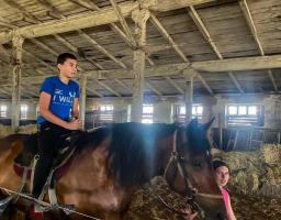 «Лошадкін дім» із Кремінної евакуювали на Тернопільщину