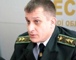 "Легальні" новорічні ялинки – виключно з пластиковими бирками, – брифінг