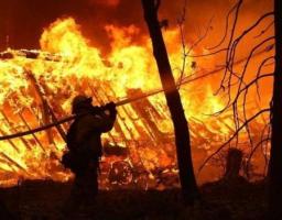 Пожежі на Луганщині: ще 15 не ліквідовано