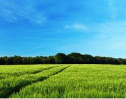 Погоджувати документацію із землеустрою тепер буде територіальний орган Держгеокадастру, вибраний спеціальною програмою