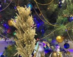 Братня Львівщина передала жителям області Вифлеємський Вогонь Миру та Різдвяний Дідух