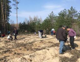 Луганщина квітуча: в області відновлюється знищений війною ліс