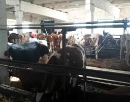 Триває робота з роз’яснення дії державних та обласних програм підтримки сільського господарства