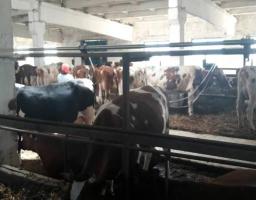 На Луганщині вже набирає оберти кооперативний рух