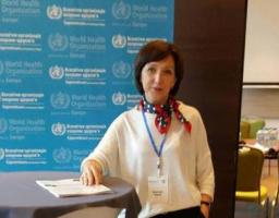 Про робочу зустріч присвячену  плануванню та адаптації Програми дії з ліквідування прогалин у охороні психічного здоров’я в Україні