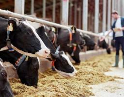 Фермери Міловського району отримали 180,5 тисяч гривень спеціальної бюджетної дотації 