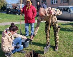 #111_бригада_ТРО Луганські військові створили липову алею на Волині