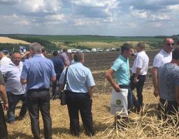 День поля на Луганщині розкрив нові перспективи аграрного сектору