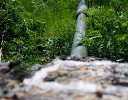 Відкривати дільницю чи голосувати віддалено у так званій «лнр» вирішували окремо в кожному місті чи селі, за відсутності паспорту рф до псевдовиборів допускають із будь-яким документом, на військовий облік окупанти ставитимуть ув’язнених