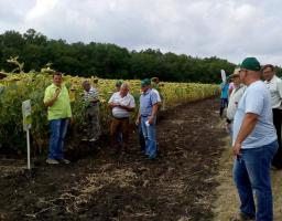 Механізм фінансової підтримки аграріїв розглянуто в Марківському районі
