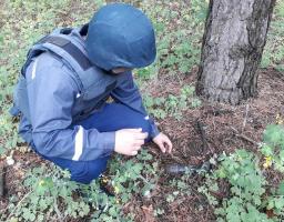 У Луганській області вилучено 122 одиниці вибухонебезпечних предметів