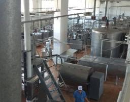 Шляхи розвитку бізнесу в межах діючих державних та міжнародних програм проаналізовані у Кремінній