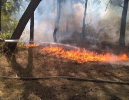 Пориви вітру спричинили пожежу у Кремінському районі