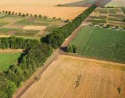 Важливо! Головні аспекти земельної реформи 