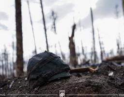 Піхота «Азову» на позиціях у Кремінських лісах (фоторепортаж)