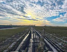 Протягом чотирьох днів до відкриття дільниць в «лнр» триватиме виїзне голосування, за відновлення електропостачання в Довжанську вимагають гроші, до звільненого Невського доправили ліки та паливо