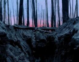 Жителям звільненого Невського допомогли відновити документи, окупаційна влада Троїцького району підтвердила постійну примусову мобілізацію місцевих, в багатьох студентів в Луганську відсутній паспорт рф