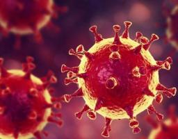 Минулої доби на Луганщині виявлено 33 нові випадки COVID-19. Від ускладнень померли дві людини