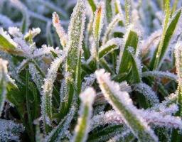 8 квітня Луганщину чекають заморозки