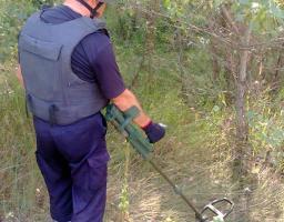 На Луганщині піротехнічними розрахунками ДСНС вилучено 44 одиниці вибухонебезпечних предметів