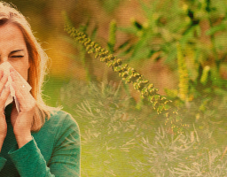 Заходи боротьби з карантинними бур’янами продовжено до 2020 року