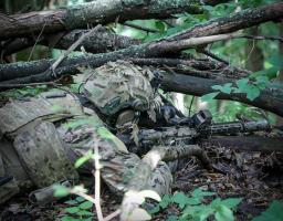 Пожежі нищать екосистему Луганщини – окупанти спостерігають, монополія – до міст «лнр» тепло постачатиме єдина компанія, поблизу Греківки та Шипилівки атакував ворог