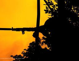 Працівникам кінного заводу на Біловодщині окупанти майже півроку не платили гроші, у неушкоджених будинках в Сіверськодонецьку ледве зайнята третина квартир, штурмові дії росіяни проводили біля Діброви та Греківки