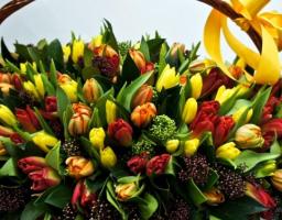 Дорогі, милі жінки, дівчата, дочки, мами, бабусі! Прийміть найщиріші вітання з наступаючим найкрасивішим і світлим весняним святом - днем 8 Березня!