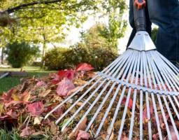 На Луганщині ліквідовано близько 300 несанкціонованих сміттєзвалищ 