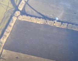 Поблизу Кремінної ворожі танки знищені військовослужбовцями ГУ СБУ в Донецькій та Луганській областях та 66-ї окремої механізованої бригади ЗСУ